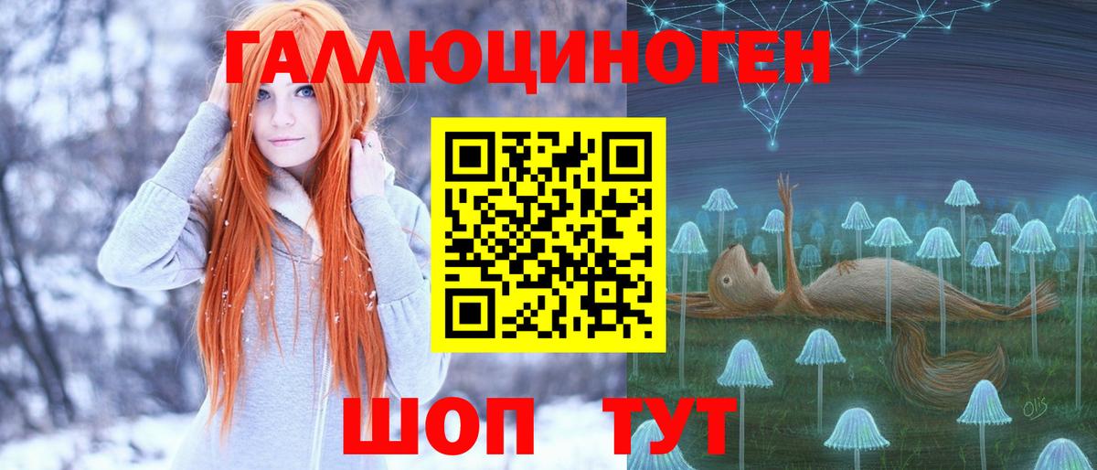 Псилоцибиновые грибы Psilocybine cubensis Ковров