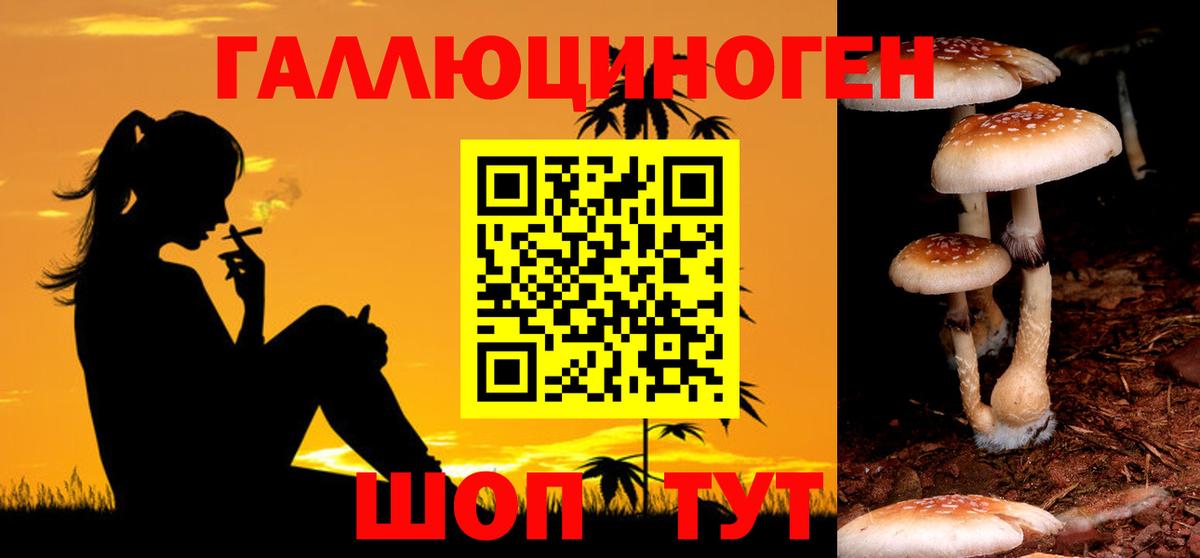 Псилоцибиновые грибы мицелий  Псилоцибиновые грибы прущие грибы  Вход с VPN  Ковров 